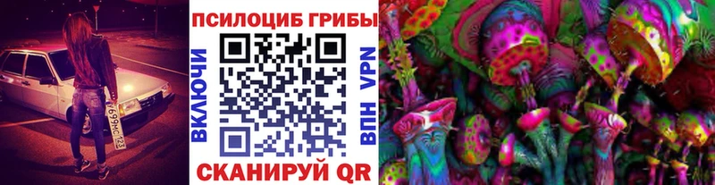 купить  цена  darknet Telegram  Галлюциногенные грибы прущие грибы  Киреевск 