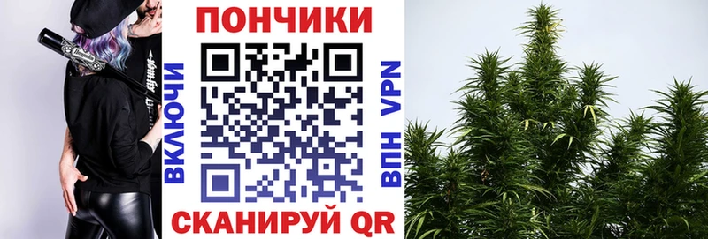 как найти закладки  Киреевск  blacksprut рабочий сайт  Бошки Шишки Amnesia 